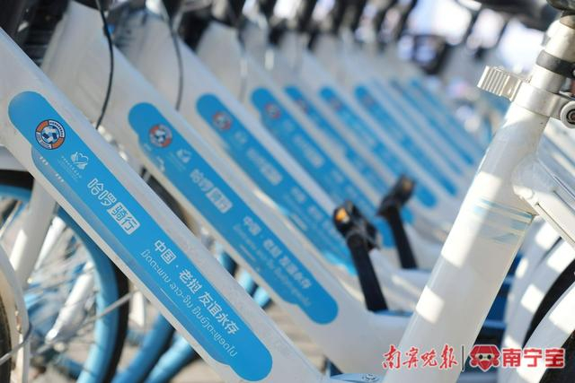 一批爱心单车即将运往老挝。 记者 黄敬敏 摄