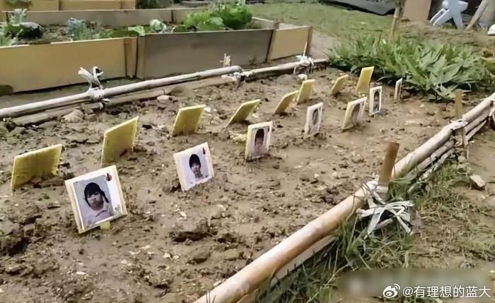 这办法也是绝了，某幼儿园开辟了一块地，让小朋友种上自己心爱的花