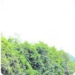 《让别人舒服，自己也不苟且》里写道：教养是种温良的天性，是有爱有坚持的家教