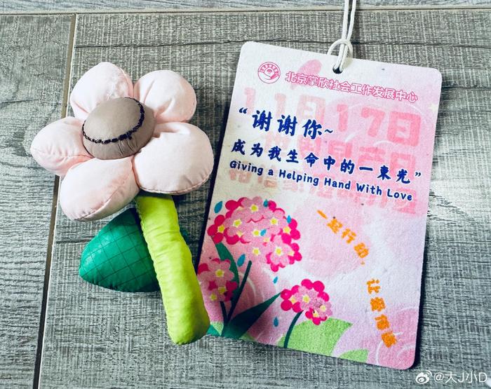 掌欣的小伙伴说小花儿旁边的这张卡片种在土里就能长出植物 好神奇的感觉！