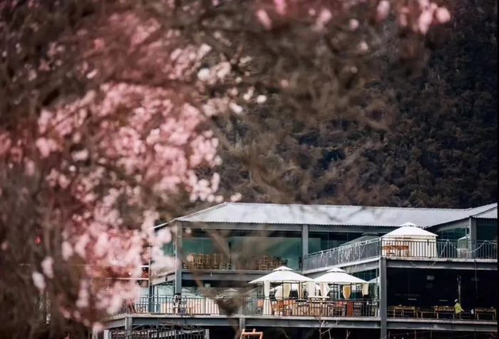 阿宁在林芝的雪山观景餐厅。（图 受访者供图）