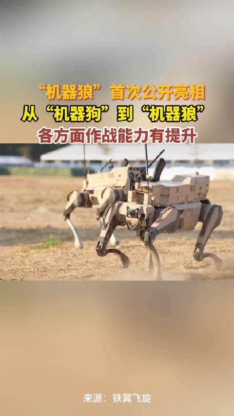 "机器狼"首次公开亮相!从"机器狗"到"机器狼",各方面作战能力有提升