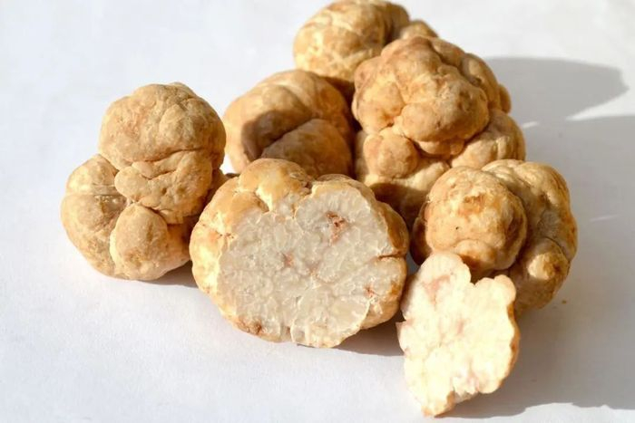 图片来源：蜜松露（honey truffles）