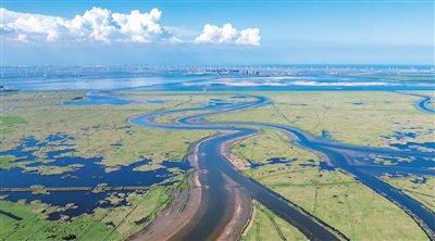 南大港湿地生态状况持续改善，生态系统服务功能逐步提升。 受访者供图