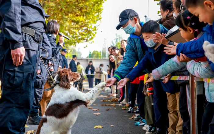 观众与警犬互动。图源：北京警方