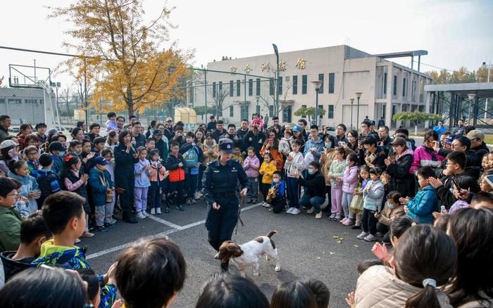 11月10日，北京市公安局警犬基地，观众们观看警犬演练。图源：北京警方