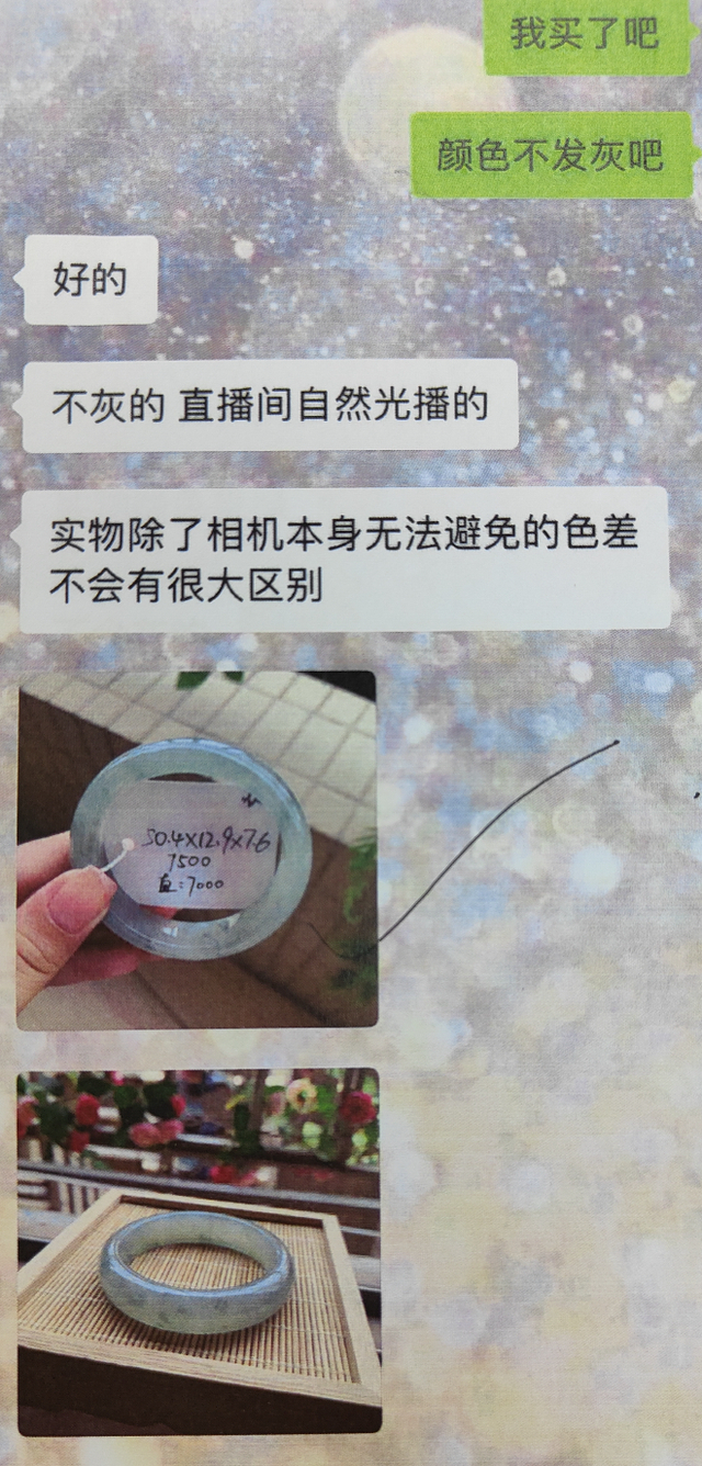 小杨和卖家的沟通截图/东城法院供图