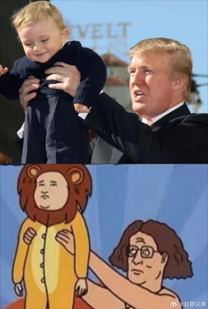 美国的狮子王辛巴