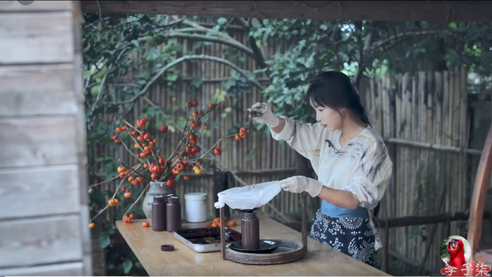 图片来源：视频截图