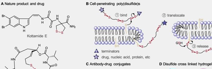 图 | 二硫化物和聚二硫化物的应用实例（来源：Nature Communications）