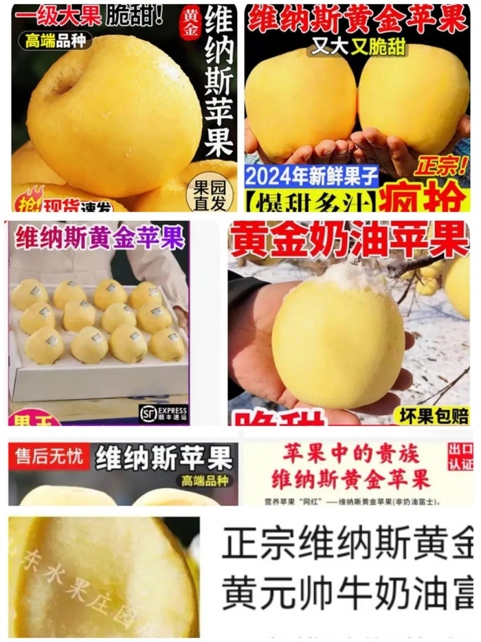 ▲电商平台部分店铺维纳斯苹果宣传页写着“维纳斯黄金苹果”。网络截图
