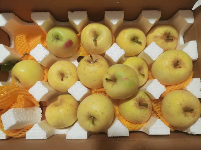 ▲记者购买的“维纳斯黄金苹果”疑似假冒，部分果品表面泛红。新京报记者 刘欢 摄