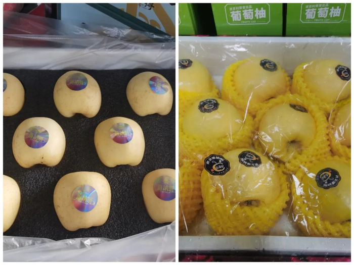 ▲新发地一批发商户销售的两款维纳斯黄金苹果。新京报记者 刘欢 摄