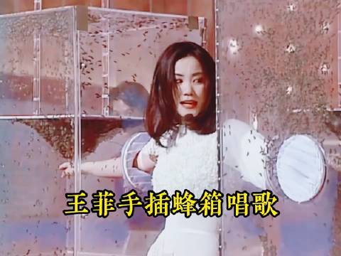1992年的慈善活动,王菲手插蜂箱唱歌,稳定歌喉展现音乐素养