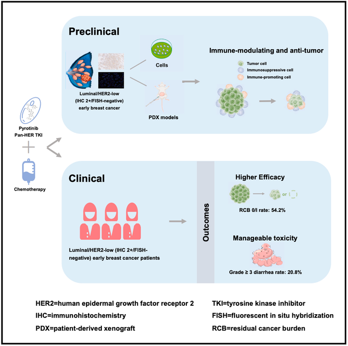 佩米替尼(Pemigatinib)仿制药价格，医保最新价格是多少？【海得康】