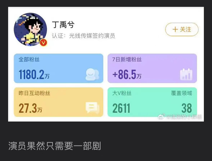 丁禹兮涨粉数据 图源：豆瓣小组
