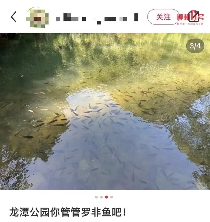 ▲图片来源网络