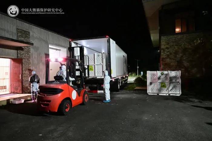 “网网”“福妮”抵达