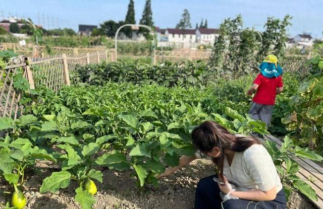 图片来源：受访者供图