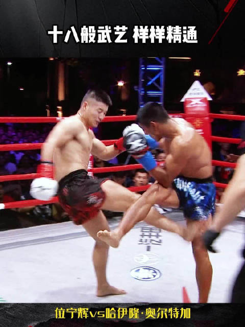位宁辉不只是拳法突出,浑身上下都是武器擂台 格斗