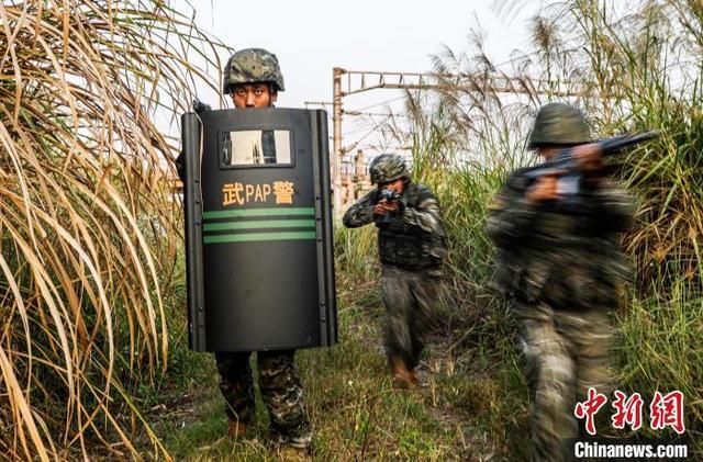 图为武警官兵进行山林地搜索。王超智 摄 