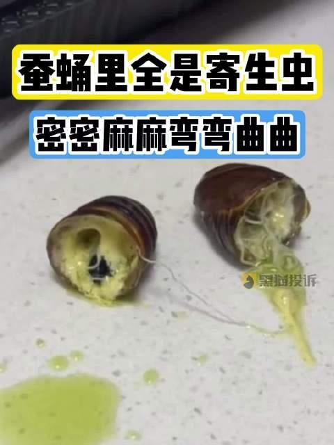 寄生虫煮熟图片