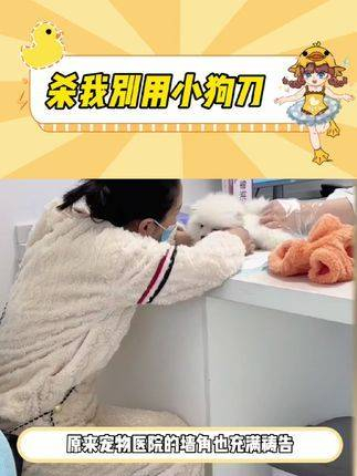 别用小狗刀杀我