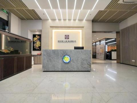 家庭教育童书启蒙：科技与传统并重，共筑孩子全面成长之路
