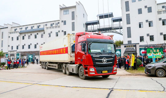 满载长坝沙田柚的货车驶出开往欧洲。