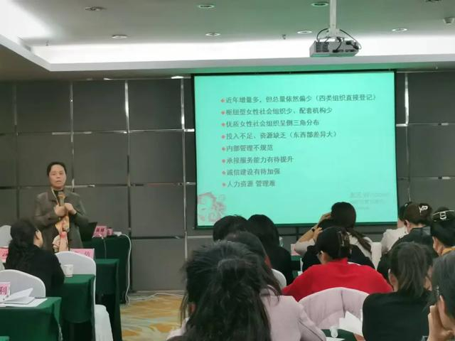 《推动社会组织与妇联工作双向融合》