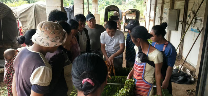 ↑大师工作室成员开展烟农培训。