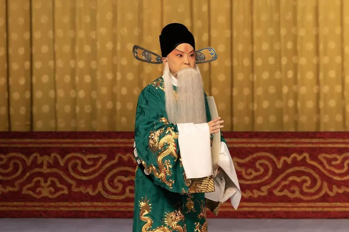 王珮瑜在《二进宫》中饰演杨波