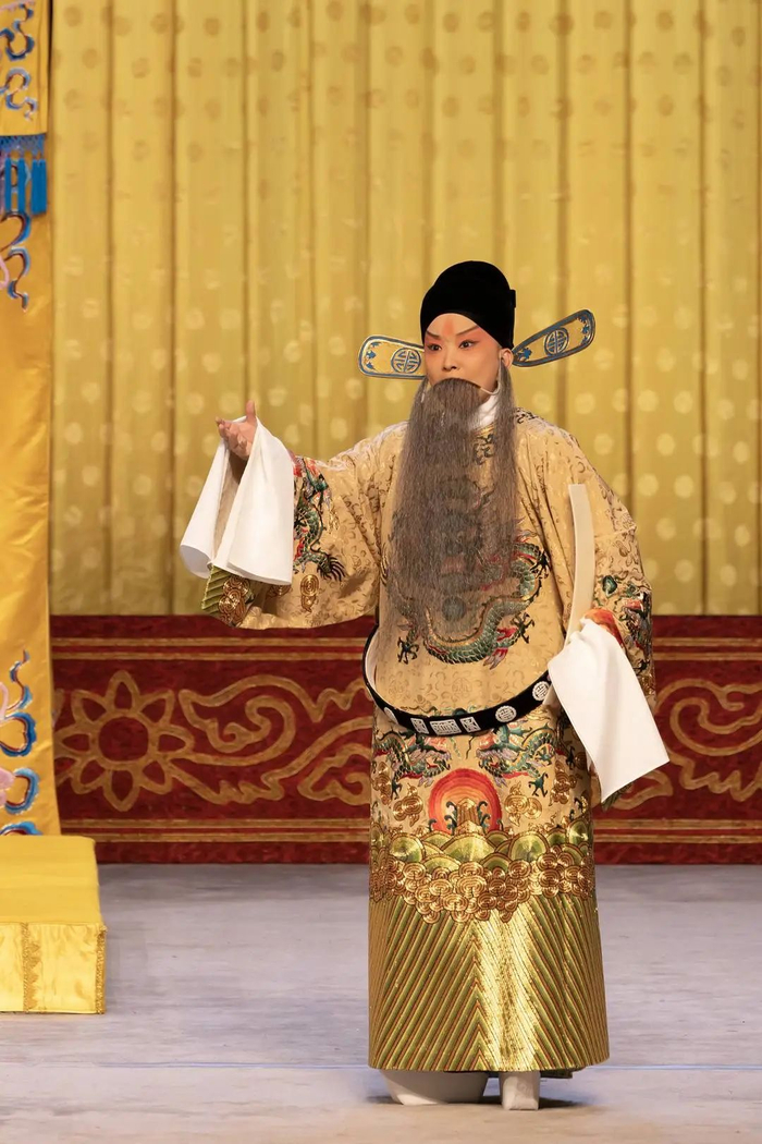 王珮瑜在《大保国》中饰演杨波