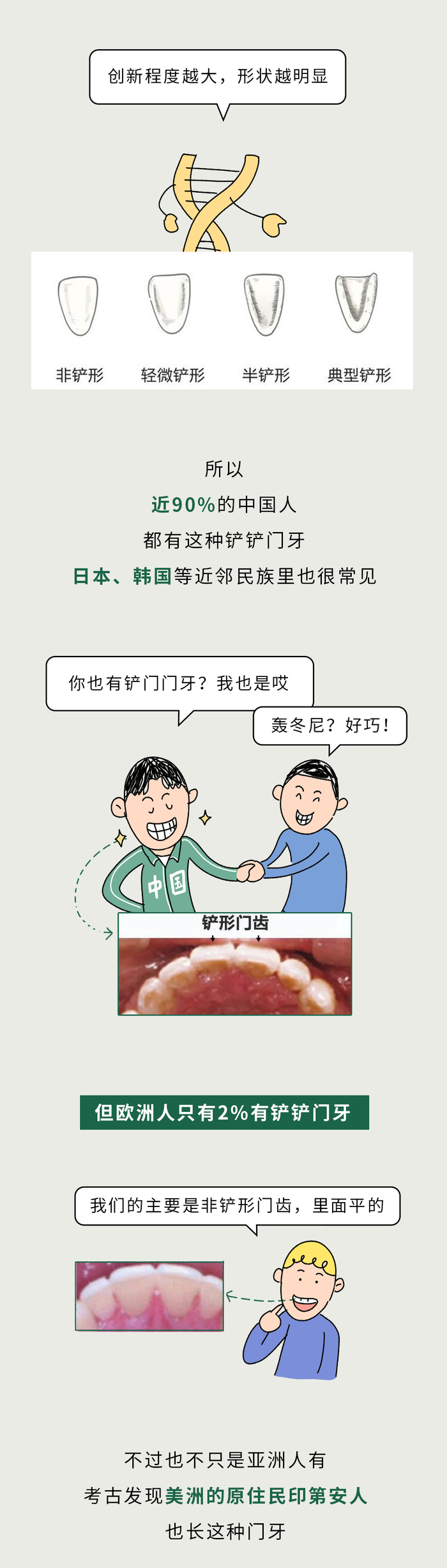 全世界为啥只有中国人的门牙像个小铲子？🧐_新浪新闻