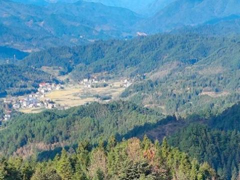 五十岁的70后：消费降级，关系降温，精神降噪