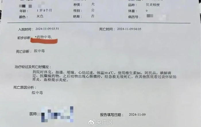 ▲医院开具的宠物死亡证明（央广网发 受访者 供图）