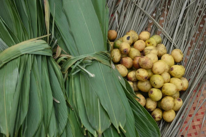 图库版权图片，转载使用可能引发版权纠纷