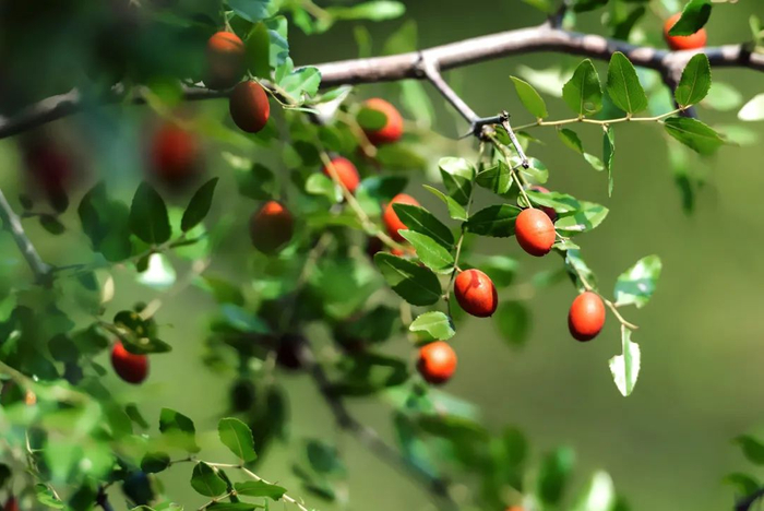 图库版权图片，转载使用可能引发版权纠纷