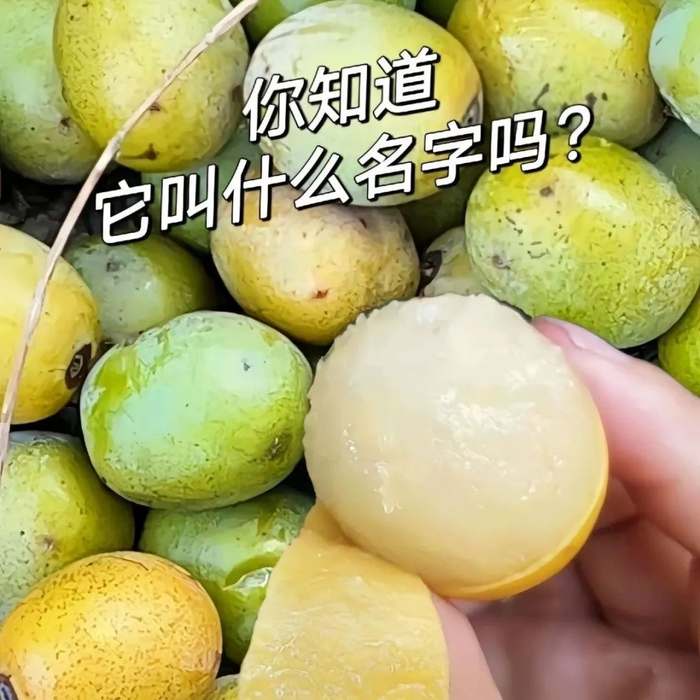 图片来源：电商平台