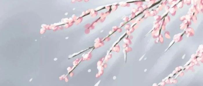 赏读 | 等一场雪来，唯美冬天