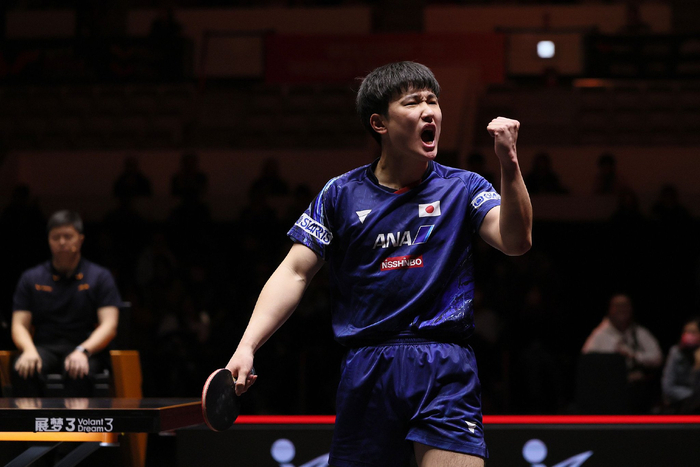 张本智和。资料图