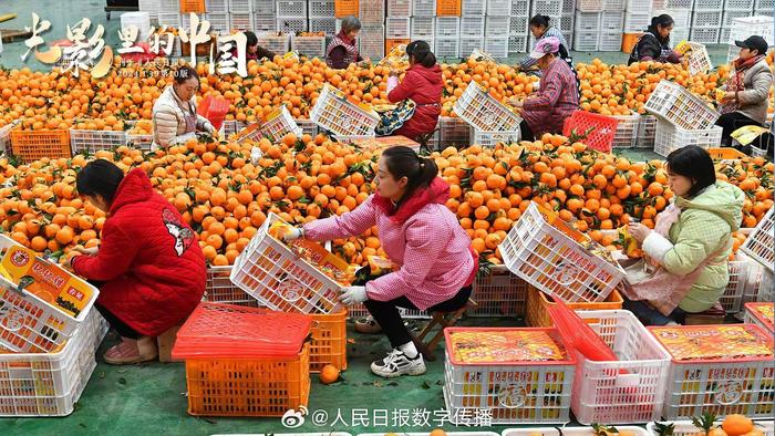 每日晨语 把心情照顾好，比什么都重要