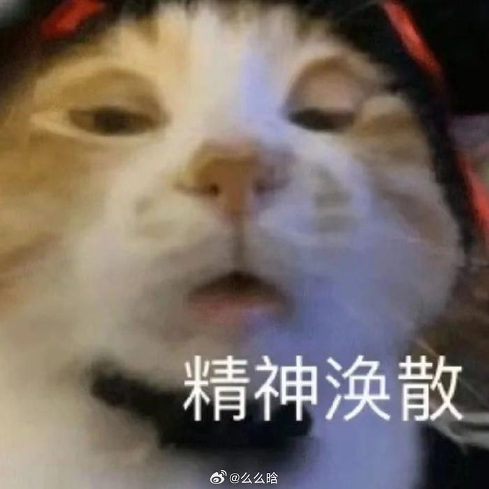 昨天去虫二家玩儿，我们又在打升级