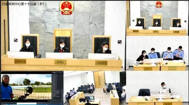 庭审录像截图。