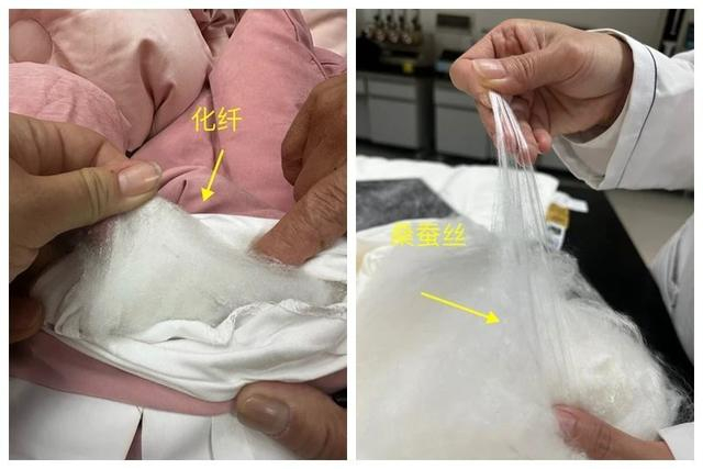 图为化纤与桑蚕丝对比。