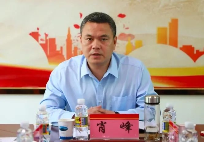 肖峰（资料图）