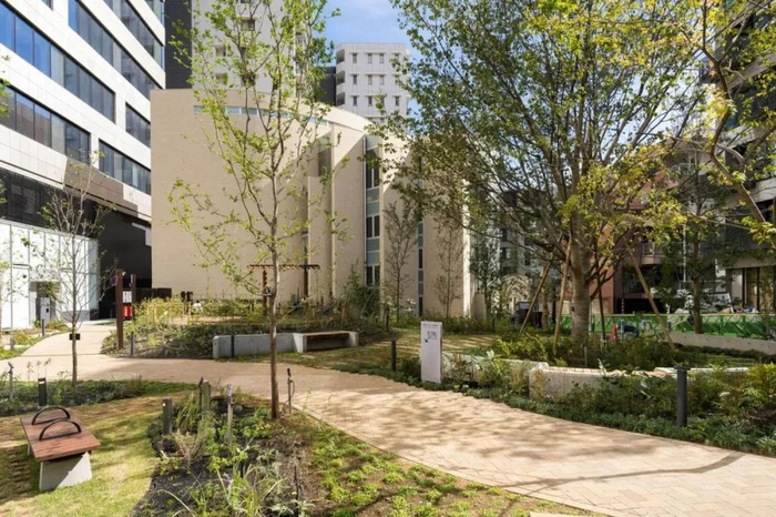 图片来源：项目官方