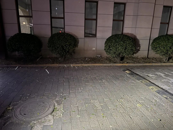 丰台区飘雪（新京报记者 王景曦 摄）