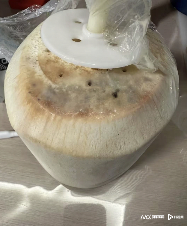 椰青外边缘似乎已经出现霉斑状的黏液。