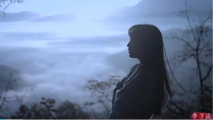 图源：李子柒视频截图